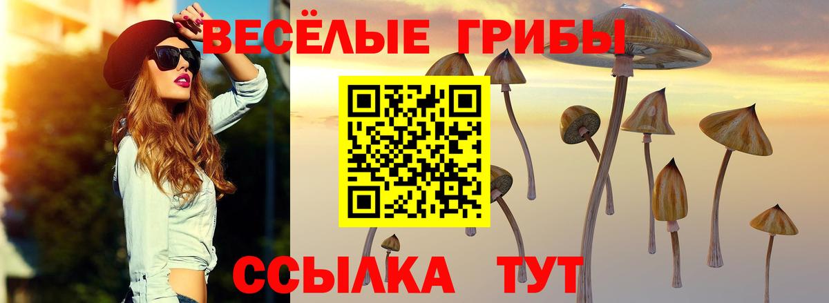 Галлюциногенные грибы Psilocybe  Вход с VPN  Златоуст 